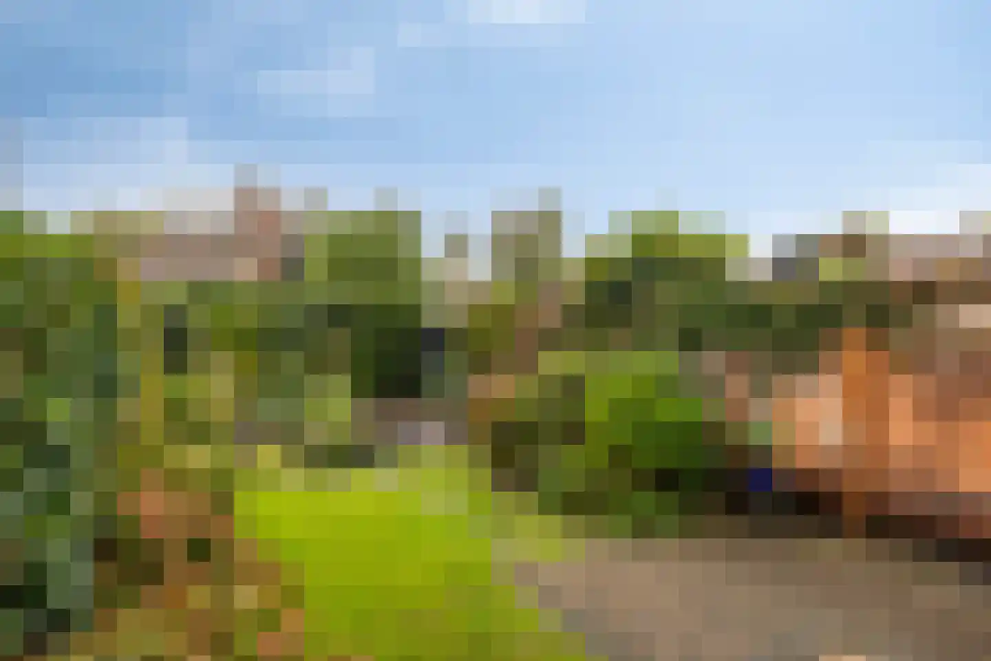 Botting 4 Maasland thumbnail 11