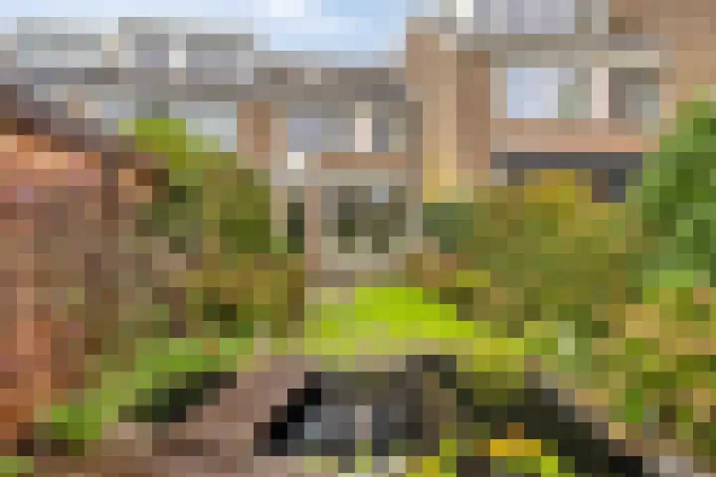 Botting 4 Maasland thumbnail 12