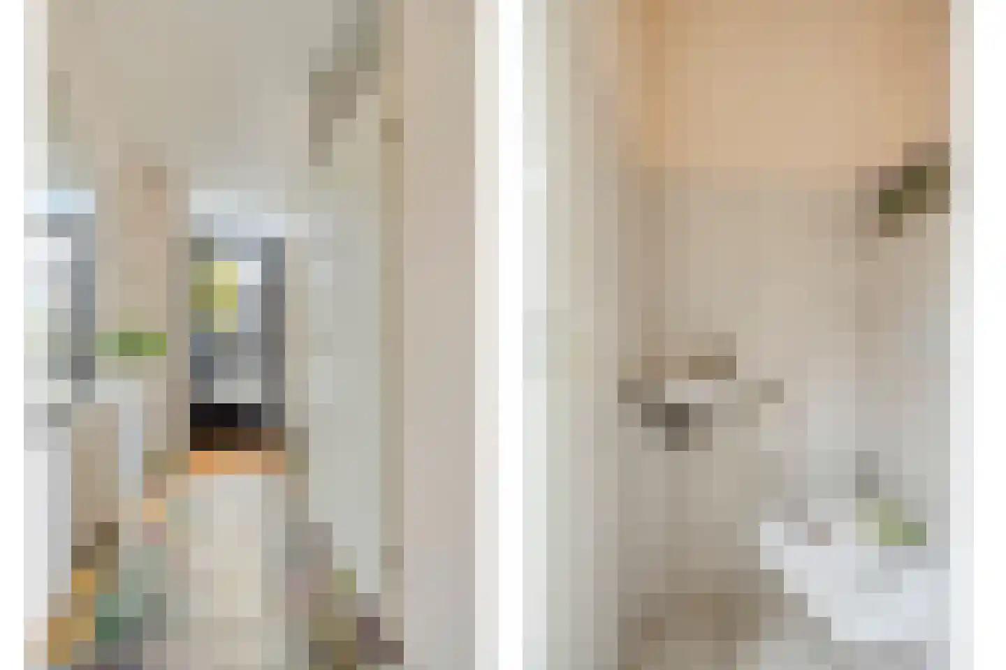 Botting 4 Maasland thumbnail 15