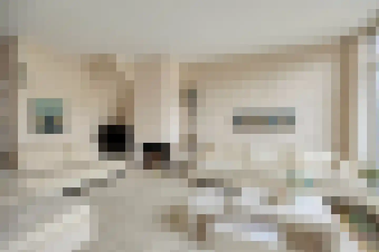 Botting 4 Maasland thumbnail 16
