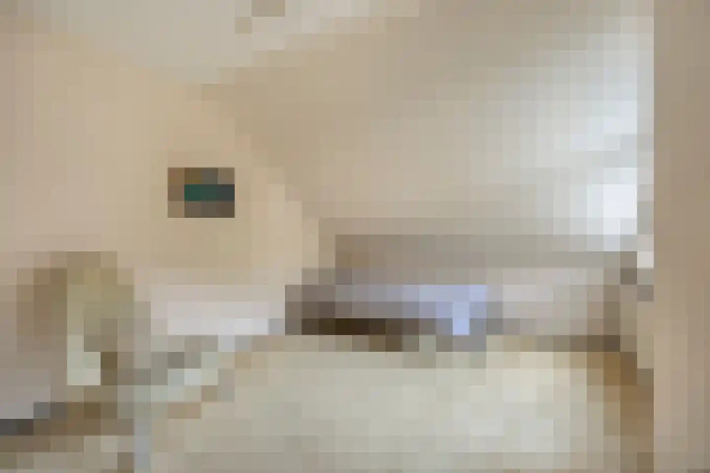 Botting 4 Maasland thumbnail 27