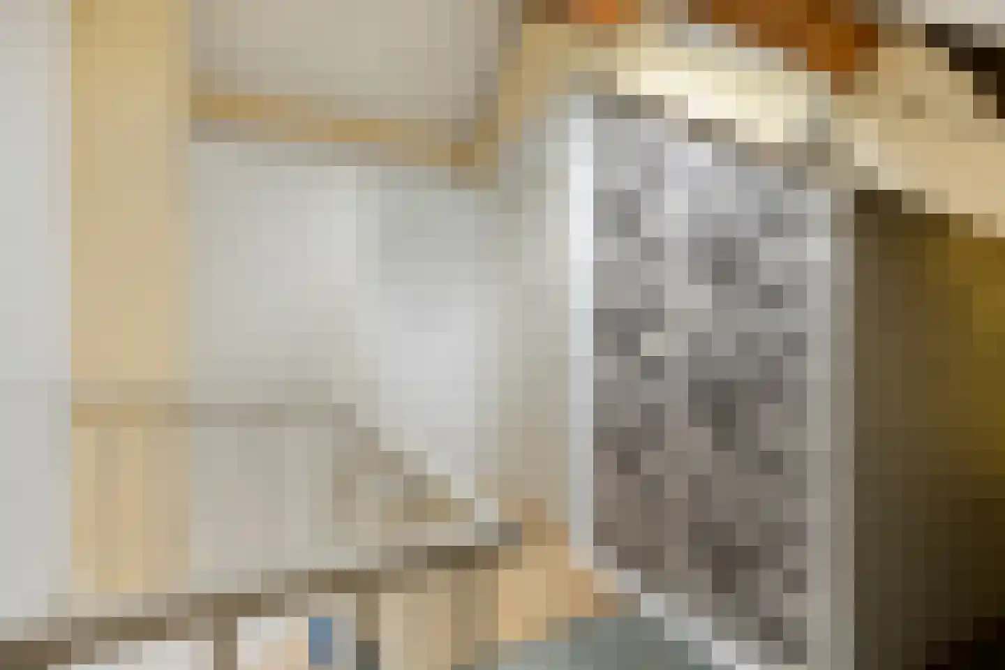 Botting 4 Maasland thumbnail 30