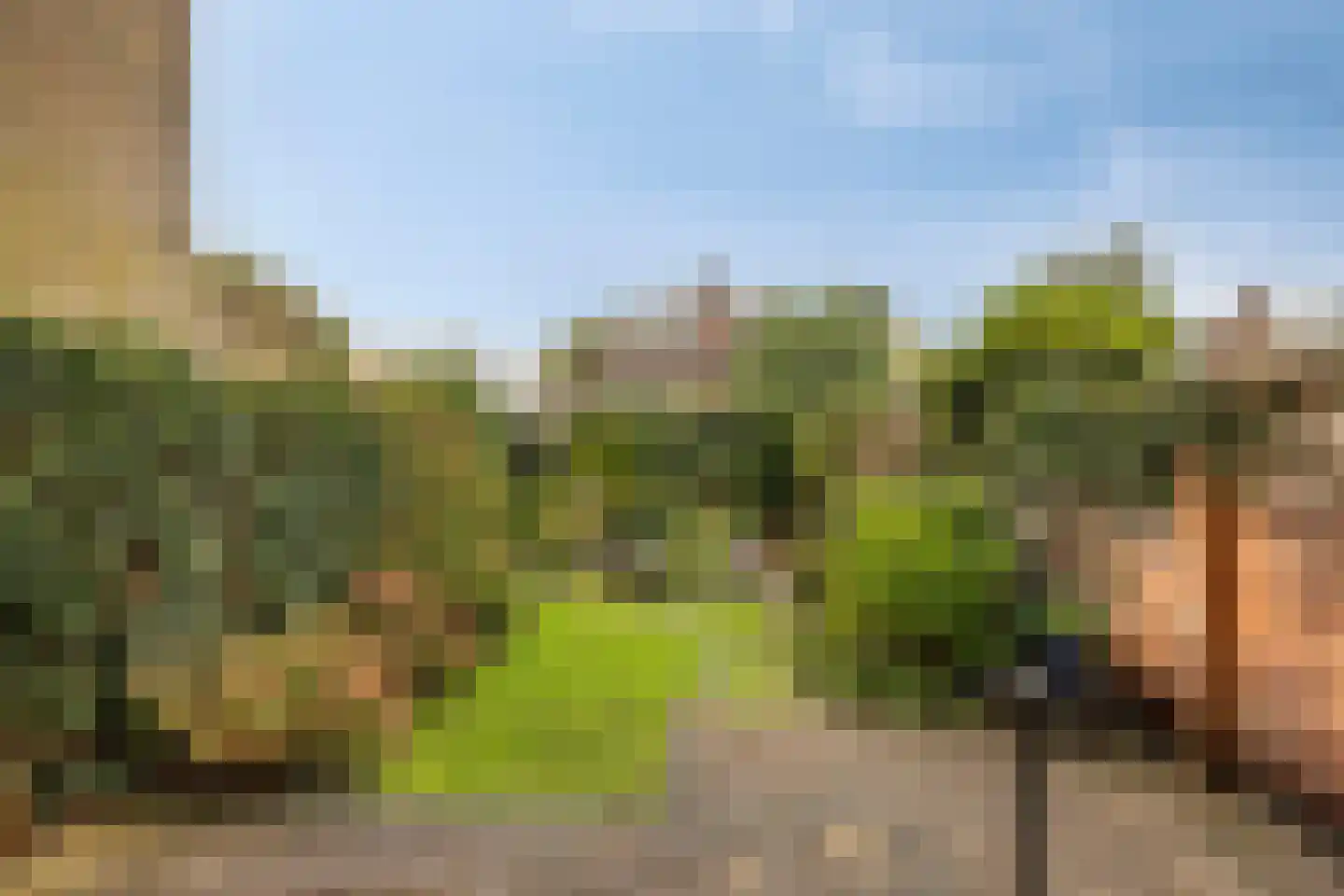 Botting 4 Maasland thumbnail 34