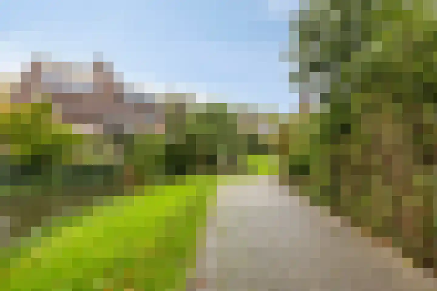 Botting 4 Maasland thumbnail 36