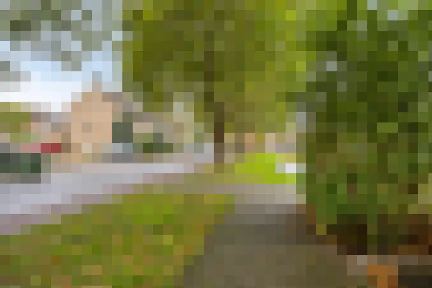 Botting 4 Maasland thumbnail 38