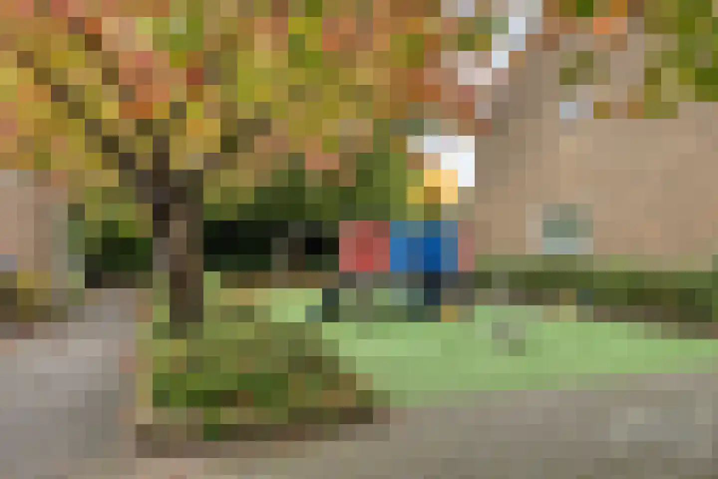 Botting 4 Maasland thumbnail 39