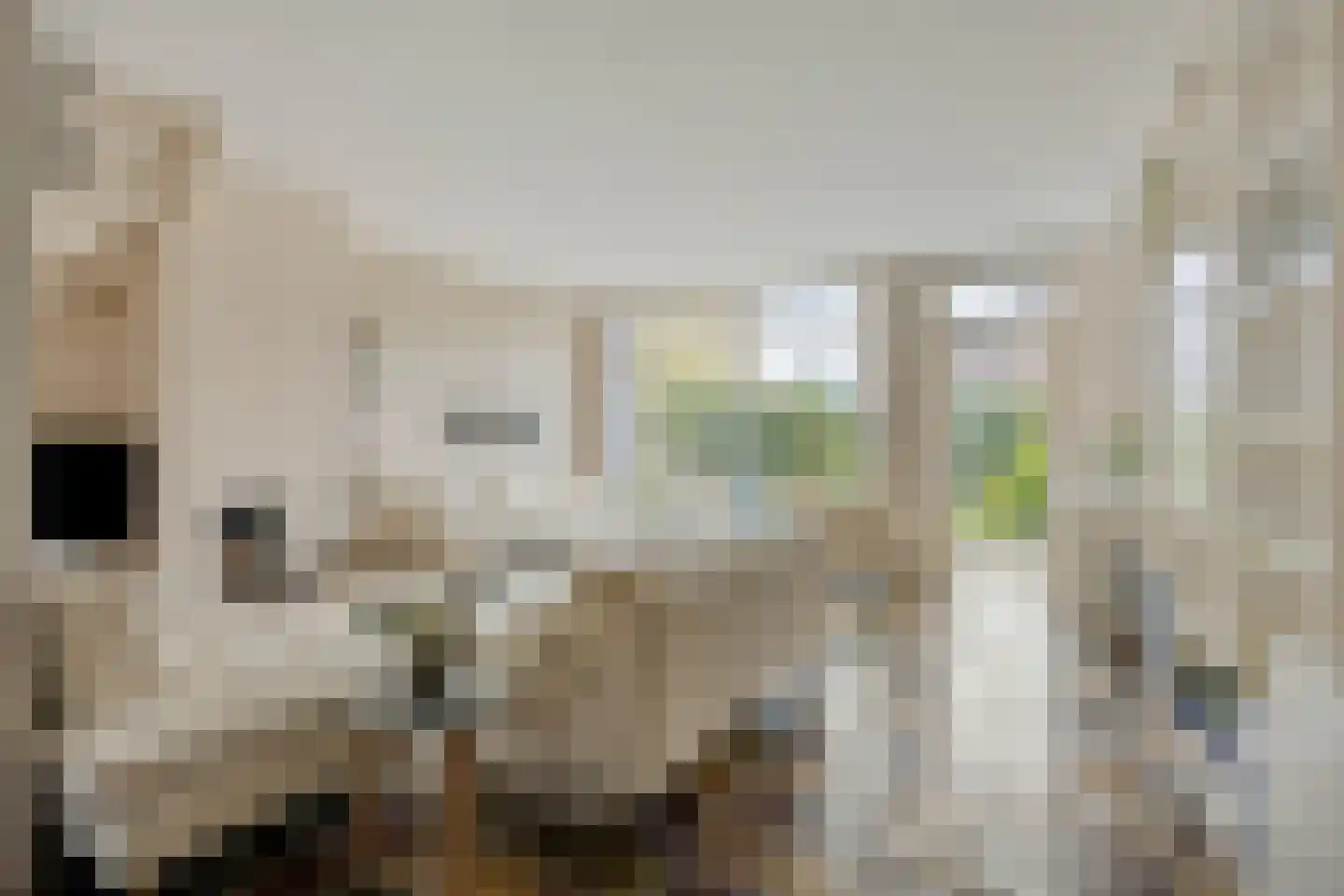 Botting 4 Maasland thumbnail 4
