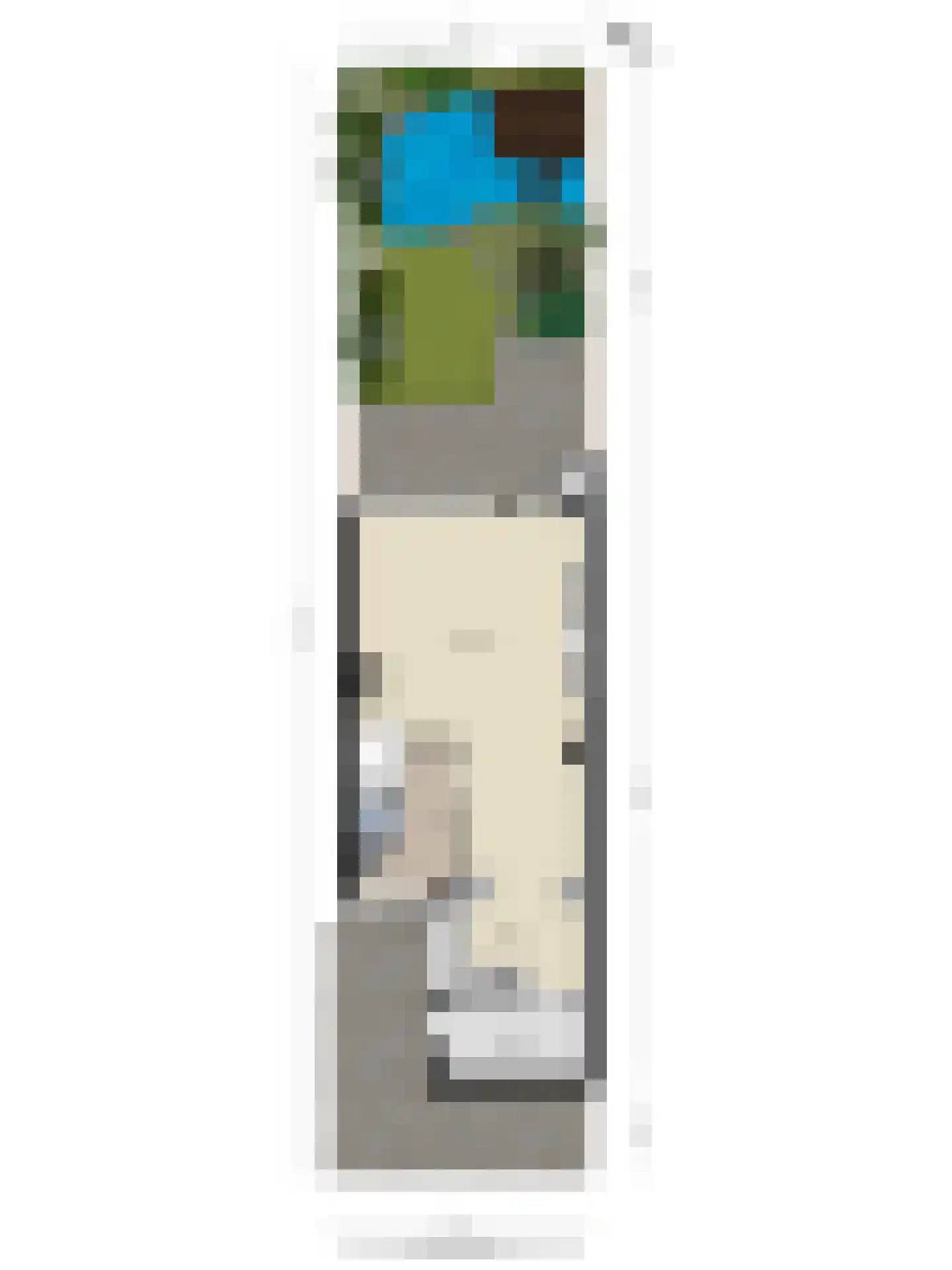Botting 4 Maasland thumbnail 40