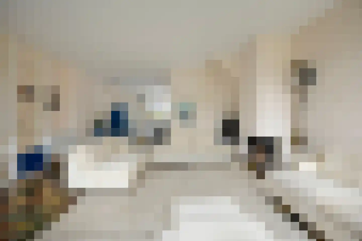 Botting 4 Maasland thumbnail 5