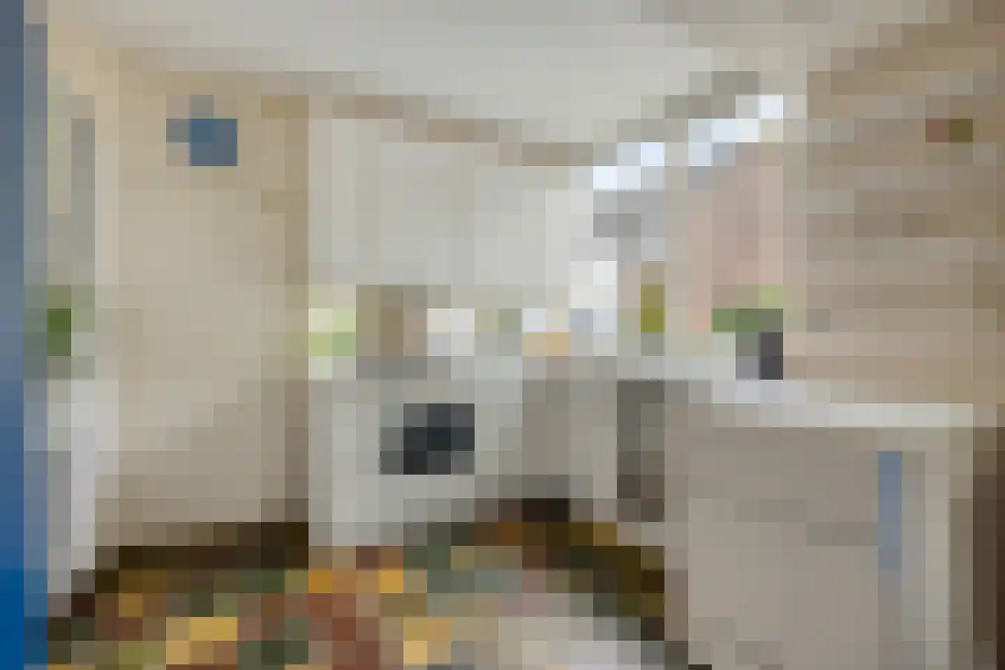 Botting 4 Maasland thumbnail 7