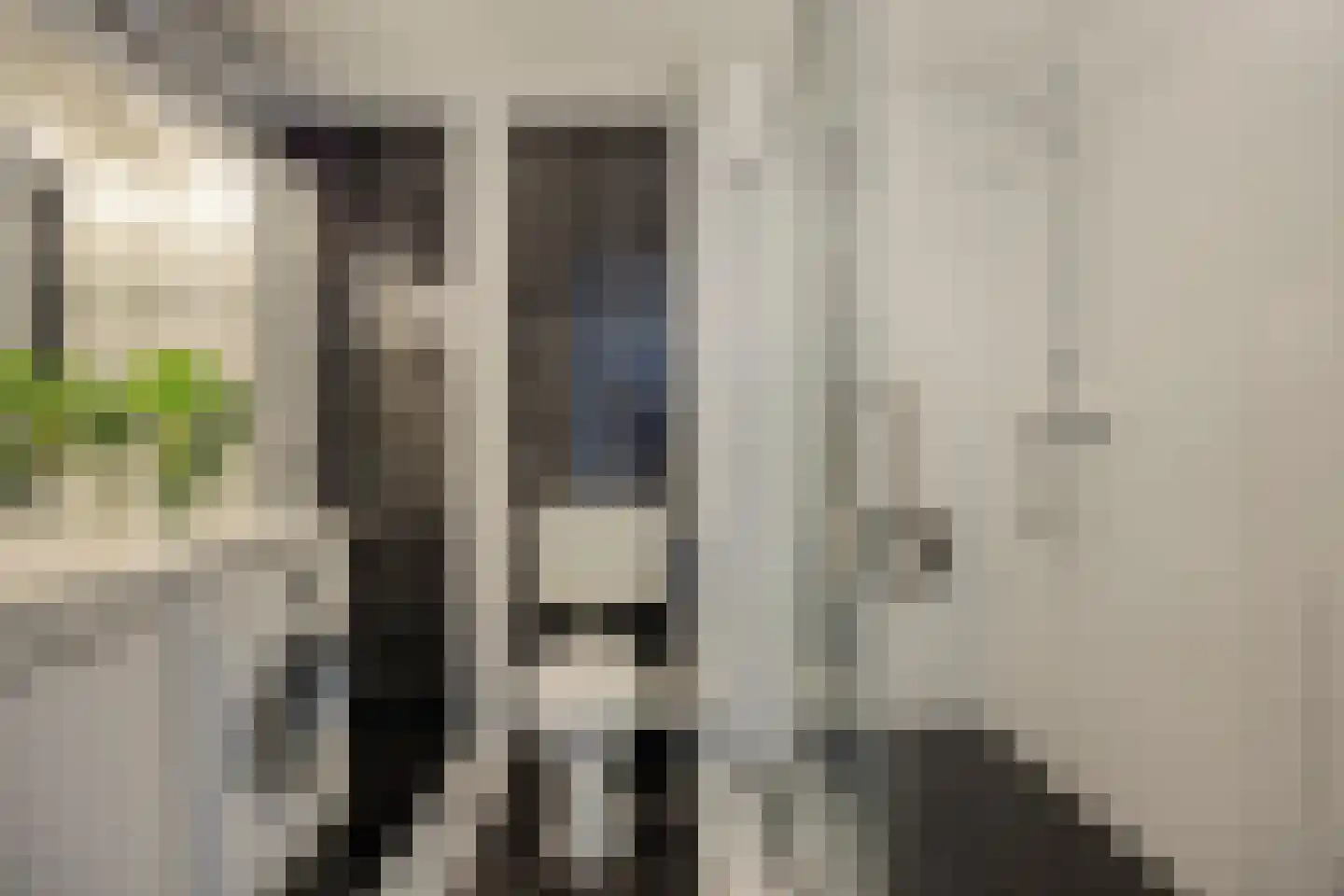 Botting 4 Maasland thumbnail 9
