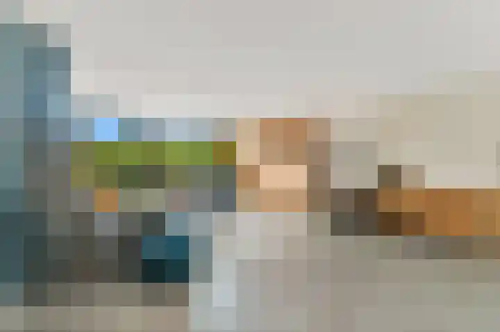 Botting 8 Maasland thumbnail 10