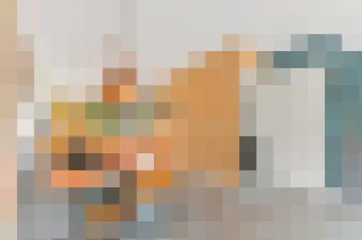Botting 8 Maasland thumbnail 13