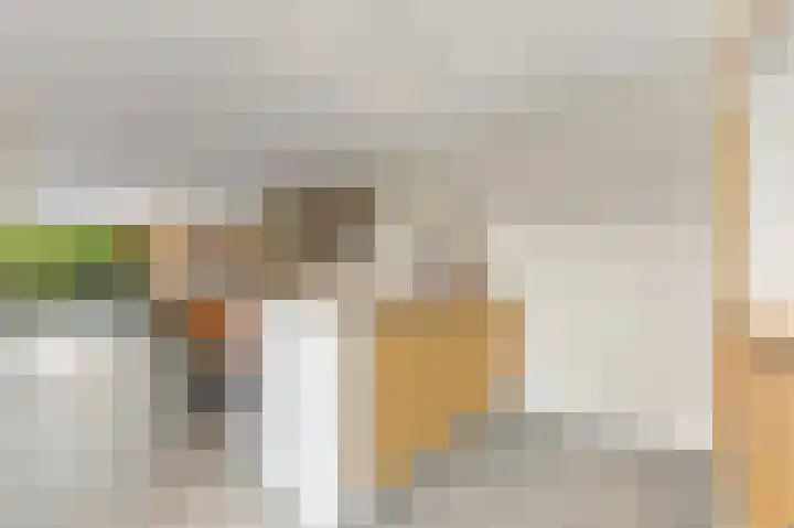 Botting 8 Maasland thumbnail 14