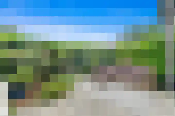 Botting 8 Maasland thumbnail 16