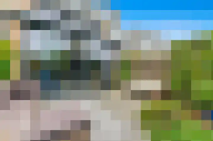 Botting 8 Maasland thumbnail 17