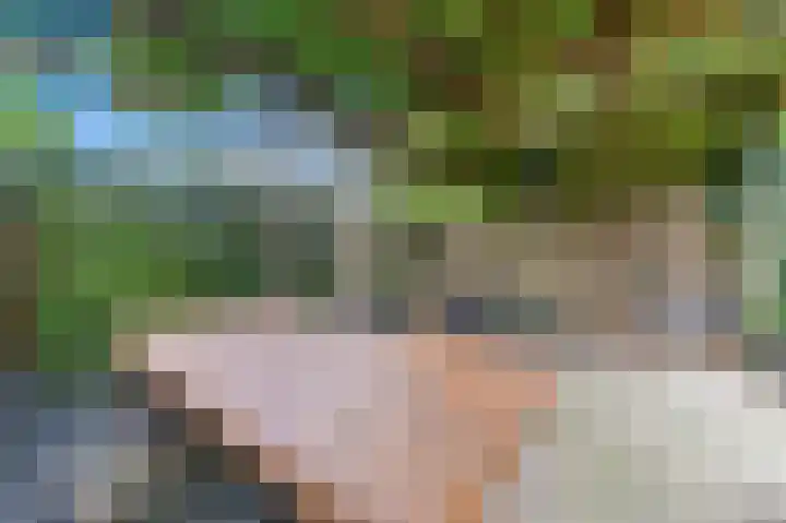 Botting 8 Maasland thumbnail 18