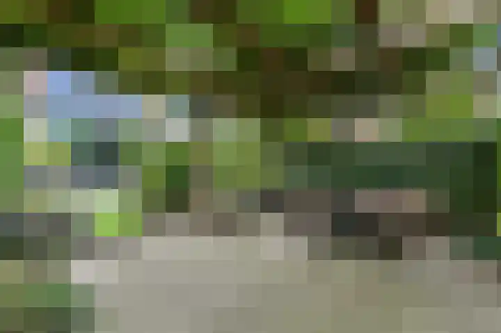 Botting 8 Maasland thumbnail 19