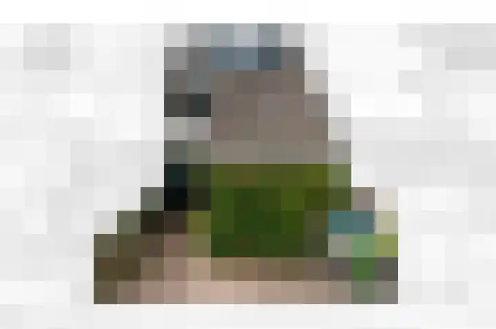 Botting 8 Maasland foto 2