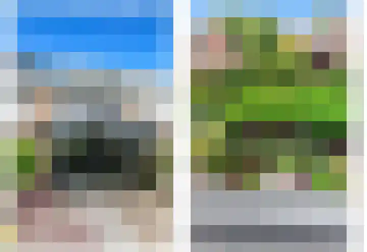 Botting 8 Maasland thumbnail 20