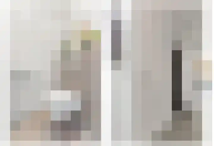Botting 8 Maasland thumbnail 21