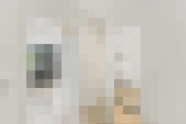 Botting 8 Maasland thumbnail 25
