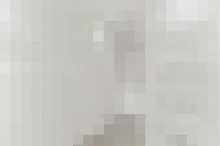 Botting 8 Maasland thumbnail 27