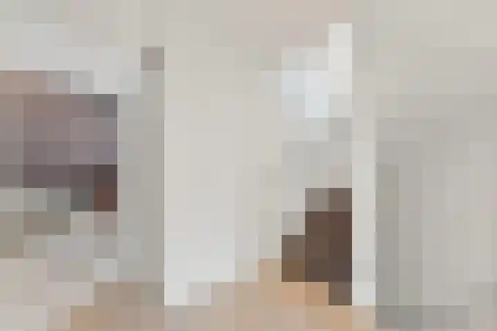 Botting 8 Maasland thumbnail 29