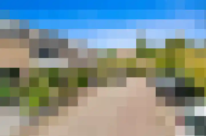 Botting 8 Maasland foto 3