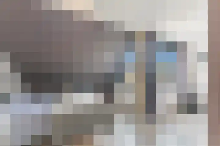 Botting 8 Maasland thumbnail 30