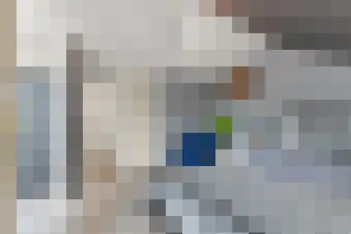 Botting 8 Maasland thumbnail 31