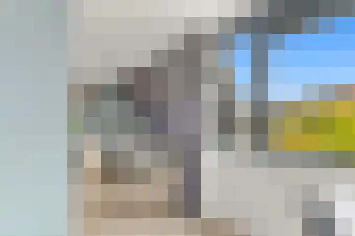 Botting 8 Maasland thumbnail 32