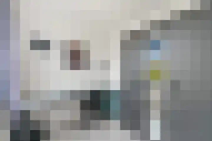 Botting 8 Maasland thumbnail 33
