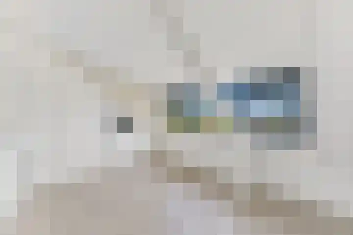 Botting 8 Maasland thumbnail 34