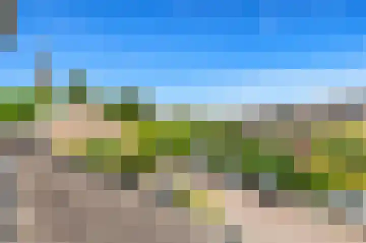 Botting 8 Maasland thumbnail 36