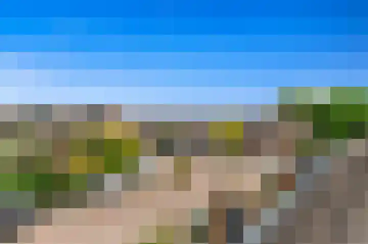 Botting 8 Maasland thumbnail 37