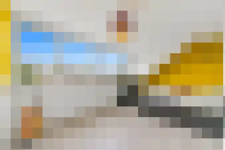 Botting 8 Maasland thumbnail 38