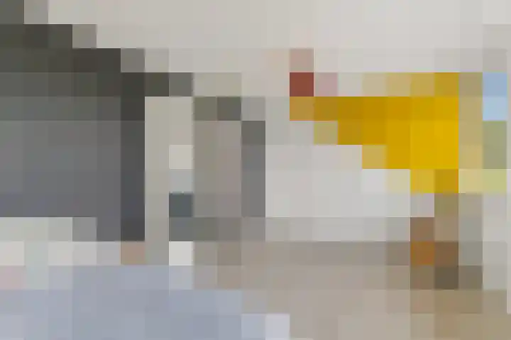 Botting 8 Maasland thumbnail 39