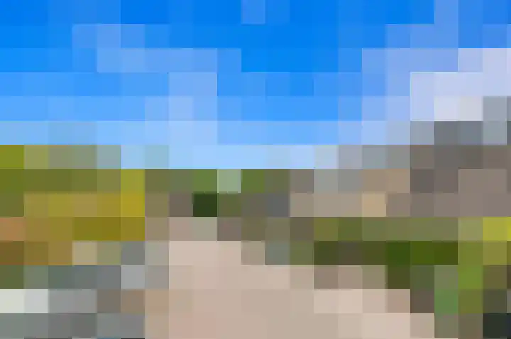 Botting 8 Maasland thumbnail 4