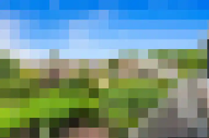 Botting 8 Maasland thumbnail 40