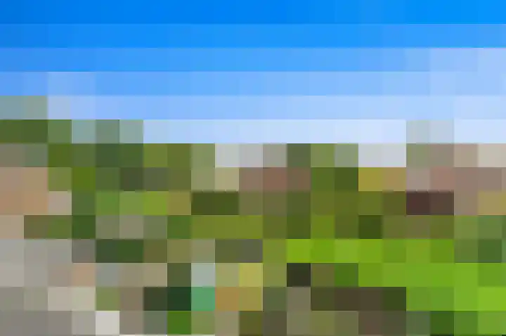 Botting 8 Maasland thumbnail 41