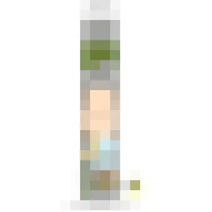Botting 8 Maasland thumbnail 42