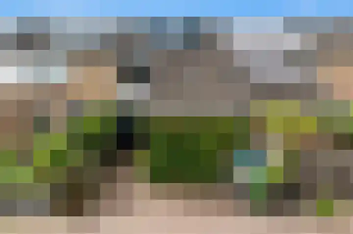 Botting 8 Maasland thumbnail 49