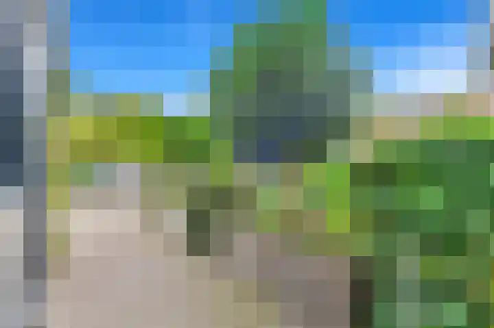 Botting 8 Maasland thumbnail 6