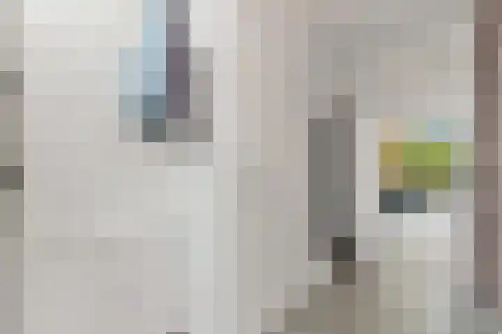 Botting 8 Maasland thumbnail 7