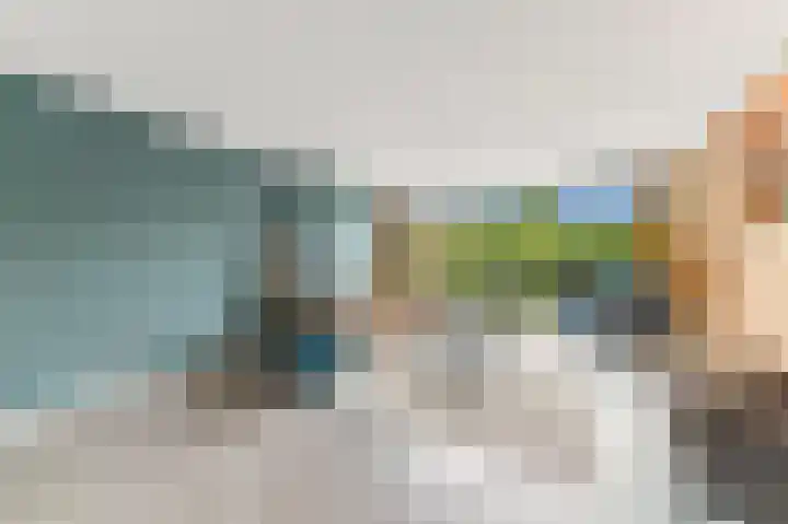Botting 8 Maasland thumbnail 9