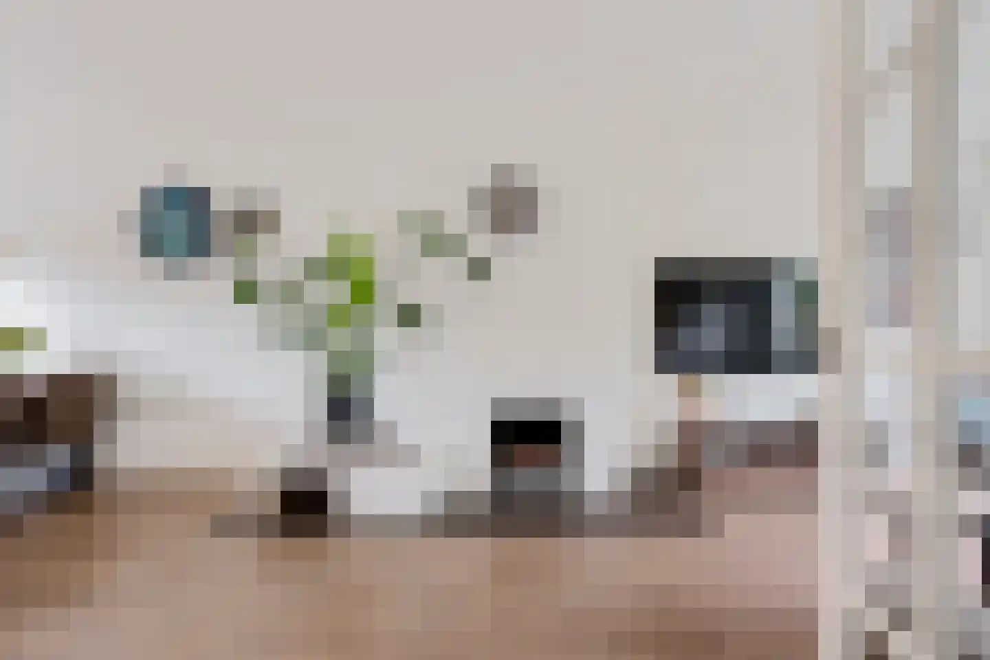 Bottinge 72 Sneek thumbnail 11
