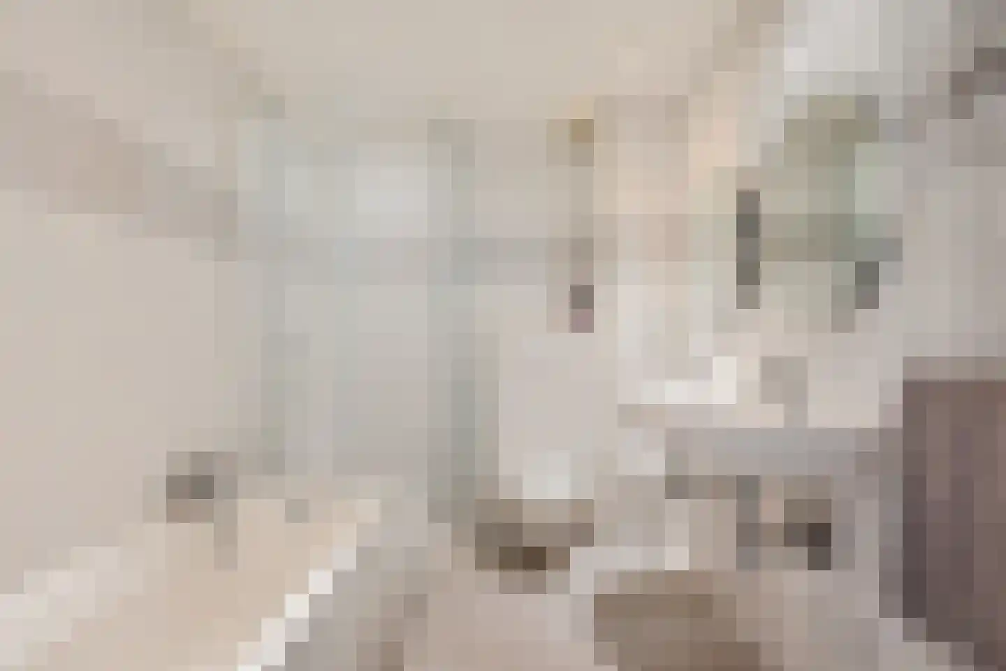 Bottinge 72 Sneek thumbnail 22