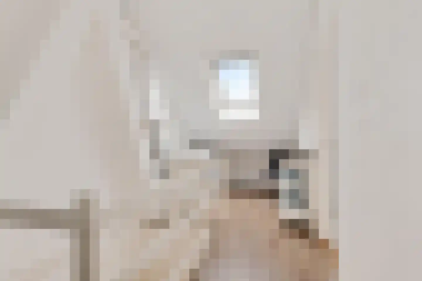Bottinge 72 Sneek thumbnail 29