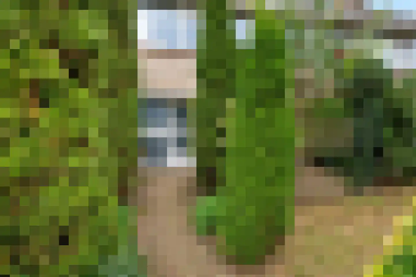Bottinge 72 Sneek thumbnail 36